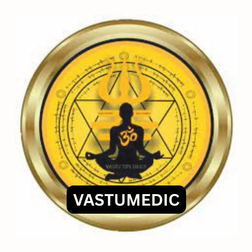 VASTUMEDIC